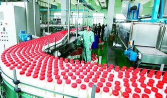 山東首康食品工程技術科技公司 一站式信息技術解決方案，助力飲料與釀造廠高效落地